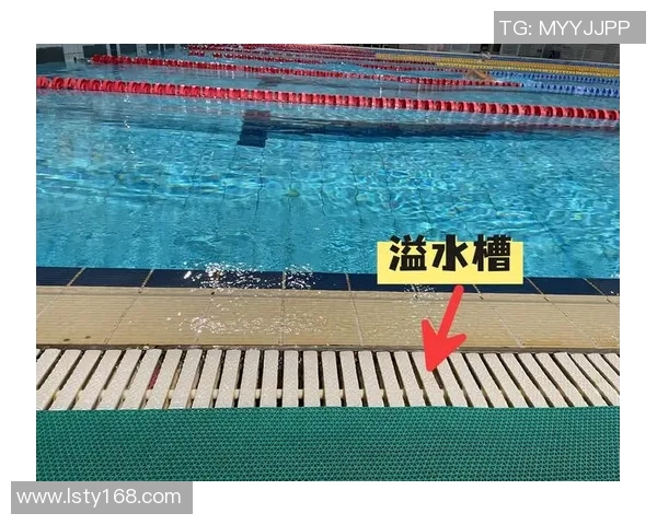 如何高效清洁泳池保持水质清澈清新全面指南